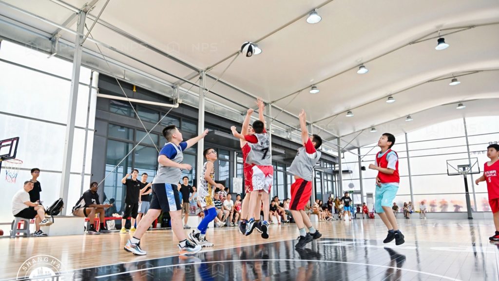 NPS奈柏建筑科技 体育篷房 PC阳光板墙体 篷房篮球馆